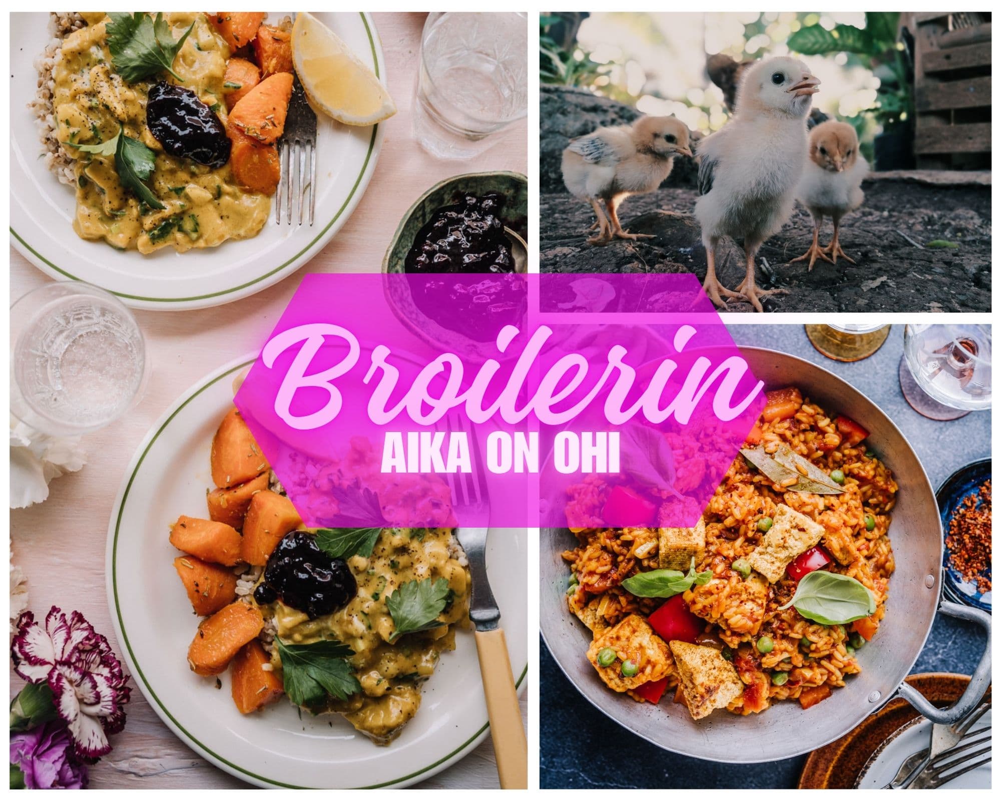 Annoskuva reseptistä vaihtoehtoja broilerille kategorialle artikkeli