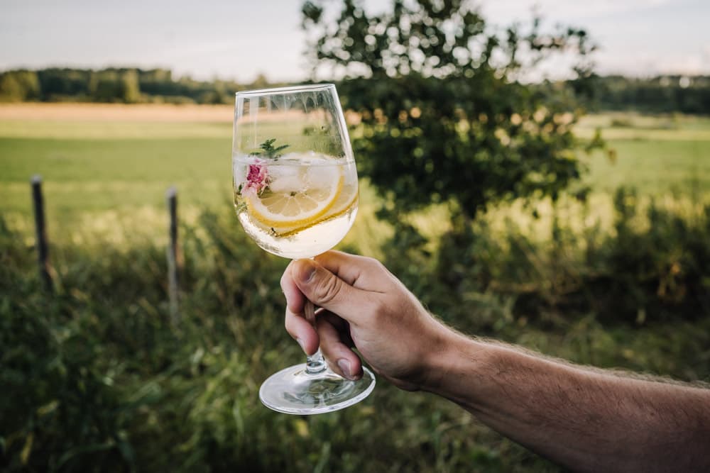 Annoskuva reseptistä limoncello spritz kategorialle resepti