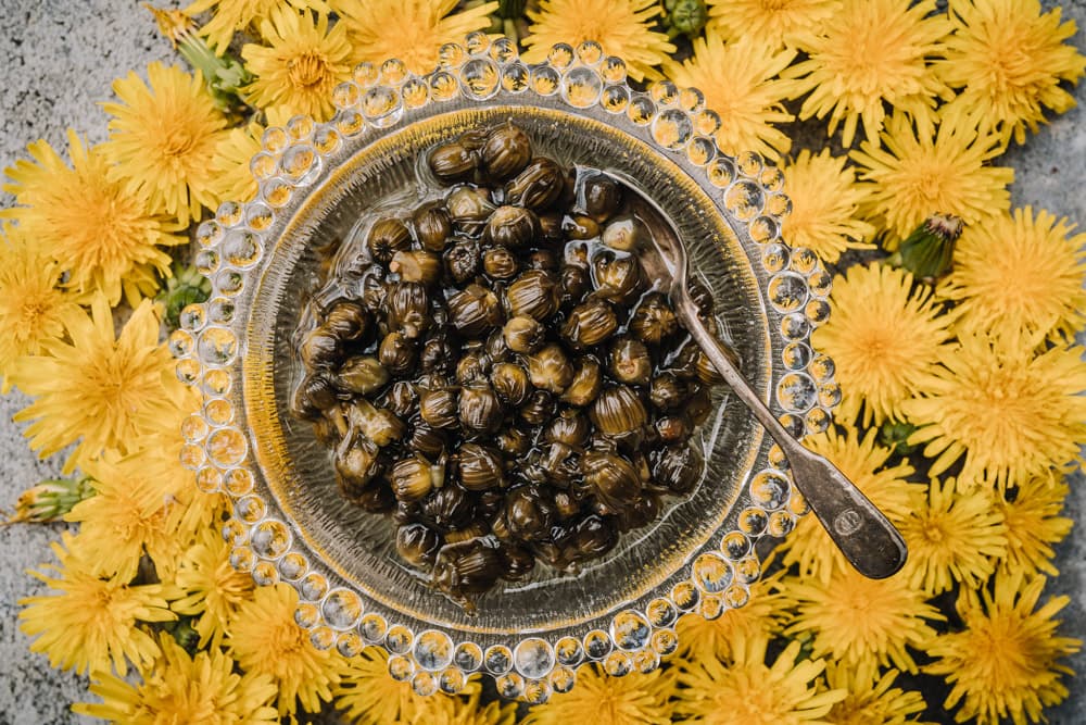 Annoskuva reseptistä voikukkakaprikset kategorialle resepti