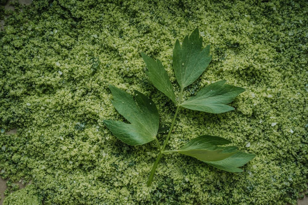 Annoskuva reseptille lipstikkasuola