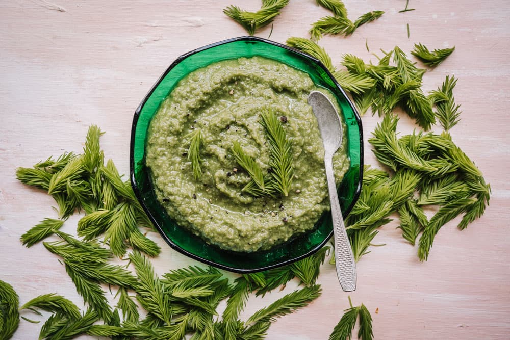 Annoskuva reseptille kuusenkerkkäpesto