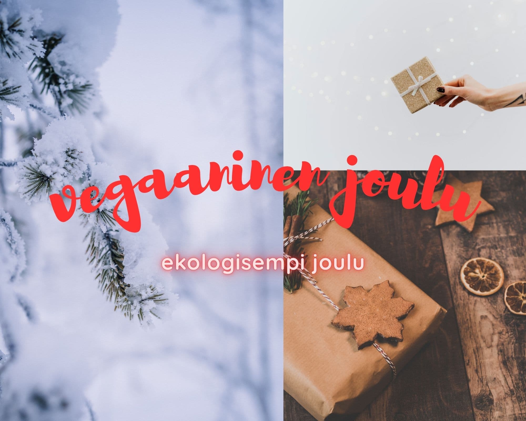 Kuva artikkelille ekologinen joulu
