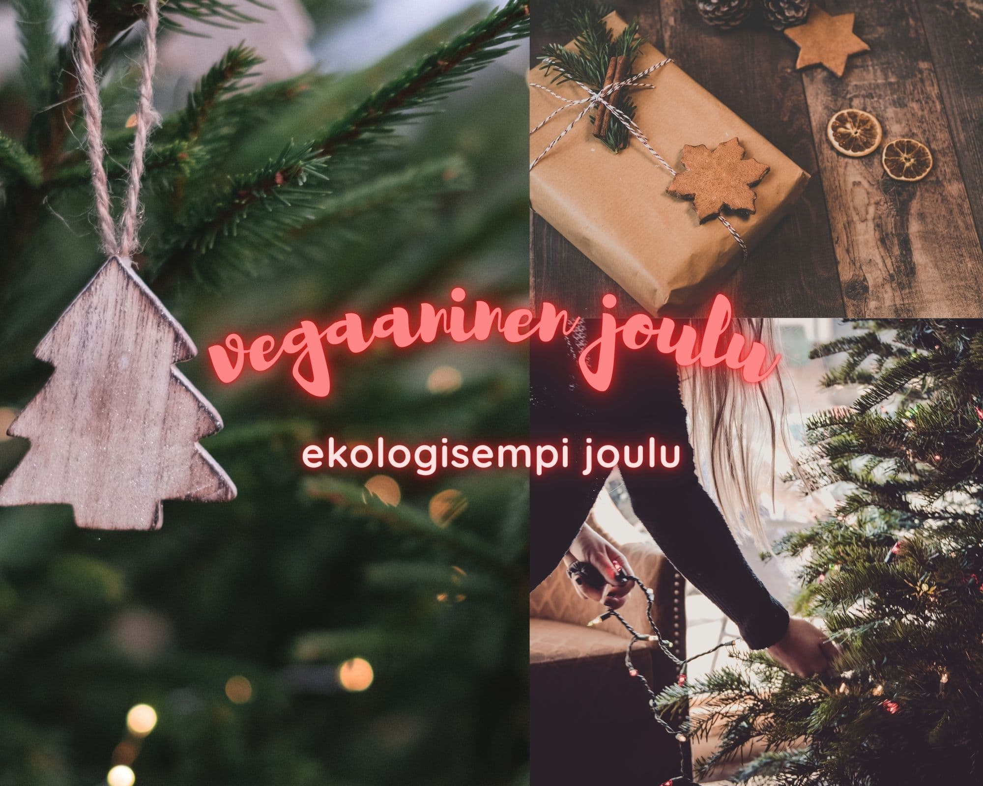 Kuva artikkelille ekologinen joulu